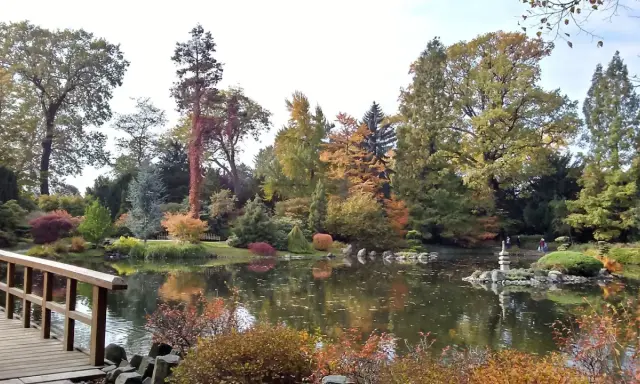 Jesienna odsłona jednego z najpiękniejszych ogrodów botanicznych w Polsce. Drewniany mostek, staw z odbiciami drzew i kamienna latarnia tworzą malowniczy krajobraz.