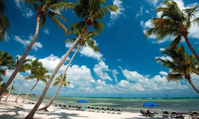 Palmen säumen einen weißen Sandstrand mit Liegestühlen und blauen Sonnenschirmen am türkisfarbenen Meer unter blauem Himmel.