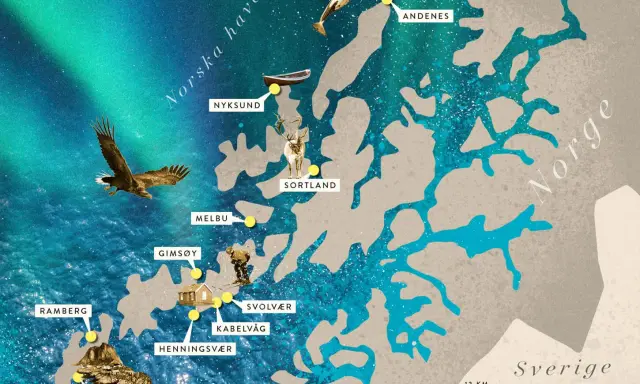Dröm dig bort till Lofoten! En karta visar öarna med platser som Reine, Svolvær och Andenes. En örn flyger över norrskenet.