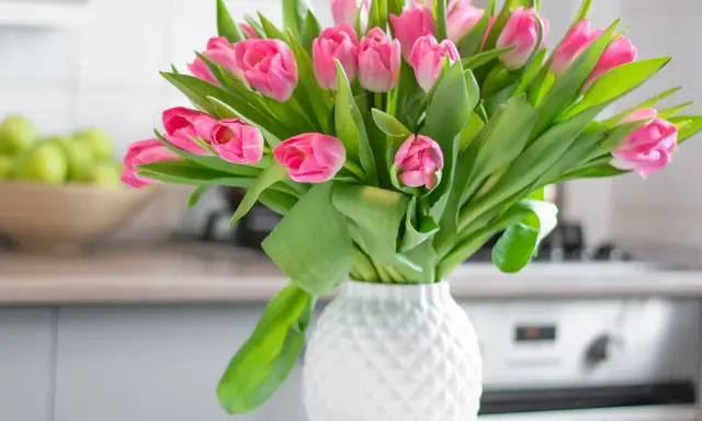 Piękne, różowe tulipany w białym wazonie. Chcesz wiedzieć, co zrobić, żeby tulipany długo stały? Podpowiadam!