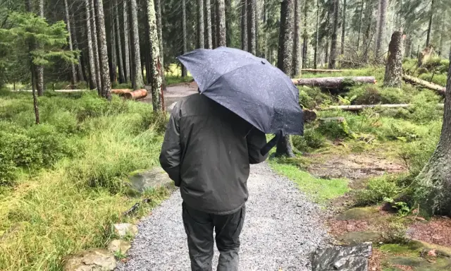 Mann mit Regenschirm im Wald. Die drohnen wetter app hat Regen vorhergesagt, also ist er vorbereitet.
