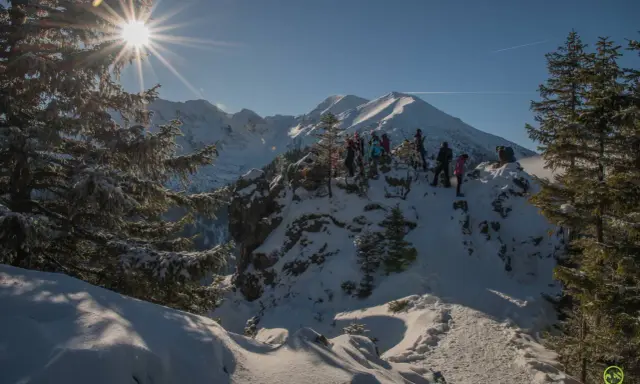 Grupa turystów podziwia zimowe Tatry. Słońce przebija się przez drzewa, tworząc piękne widoki. Idealne miejsce na pierwsze zimowe wędrówki.