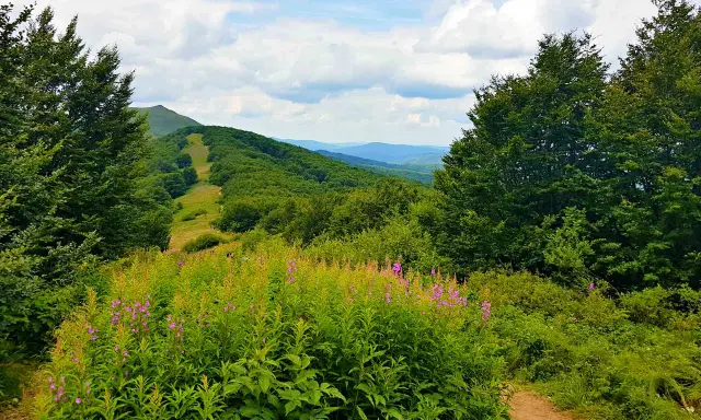 Twój przewodnik po Dworku Sanockim: Menu, noclegi, imprezy, Bieszczady