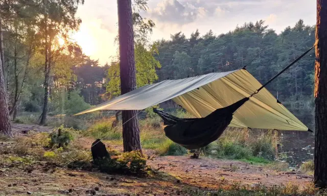 En hängmatta hänger under ett stort vindskydd presenning i en skog vid solnedgången.