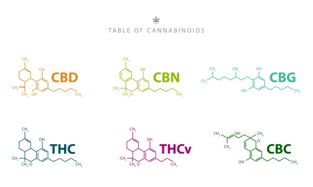 Tabela kannabinoidów: CBD, CBN, CBG, THC, THCV, CBC. CBG to jeden z kannabinoidów.