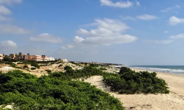 Strand von Sancti Petri mit Dünen, grüner Vegetation und Hotels am Horizont.