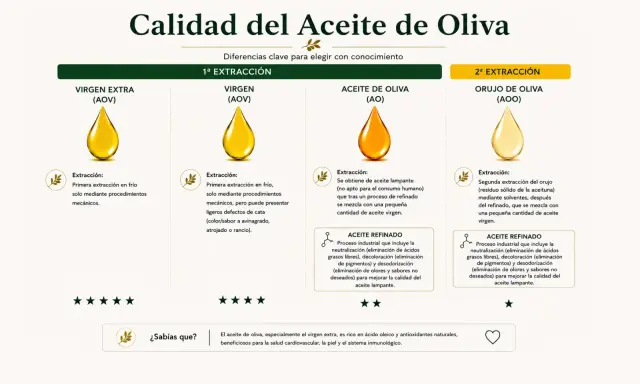 Comparativa de aceites de oliva: virgen extra, virgen, de oliva y orujo. Cada uno con su extracción y características.
