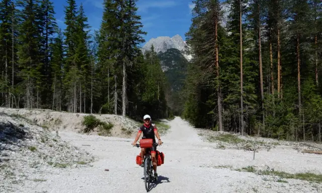 Ciclista su strada sterrata tra i pini, con le vette delle Dolomiti sullo sfondo. Un'avventura sui percorsi bici Dolomiti.