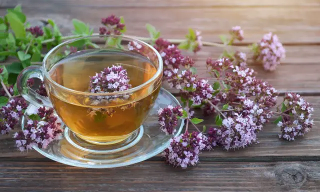 Aromatyczna herbata z oregano w szklanej filiżance, otoczona gałązkami z kwiatami. Napar ten znany jest ze swoich właściwości wspomagających trawienie i działających antybakteryjnie.