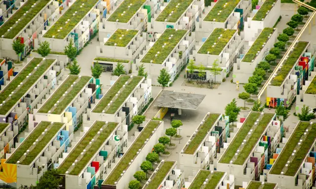 Grüne Dächer auf Reihenhäusern in einer kompakten Stadt. Viele bunte Fassaden und Bäume.