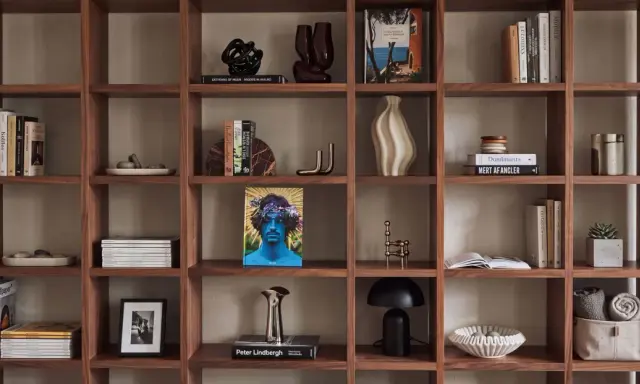 Ideas para decorar una estantería: libros, jarrones, esculturas y plantas crean un espacio acogedor.