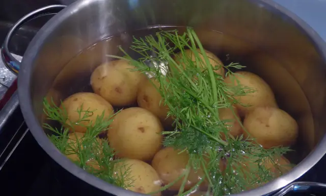 En gryta med dillkokt potatis i vatten. Snart redo att serveras med smör och mer dill.