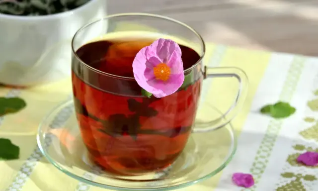 Ein Glas Cistus Tee mit einer rosa Blüte. Die Cistus Tee Wirkung ist bekannt für ihre entzündungshemmenden Eigenschaften.