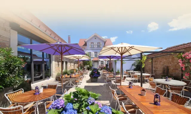 Weingut am Nil Gastronomie: Kulinarik & Wein-Erlebnisse in Kallstadt