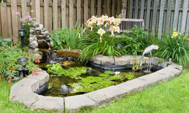 Un estanque en el jardín con cascada, lirios y decoración de grulla. Ideal para aprender como hacer un estanque en el jardin.