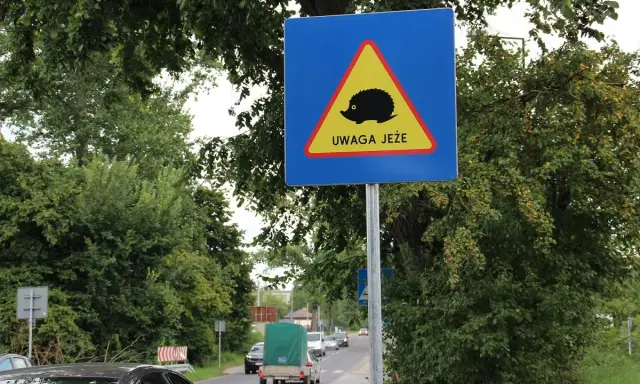 Litwa znaki drogowe: uwaga jeże! Niebezpieczeństwo na drodze, szczególnie nocą.