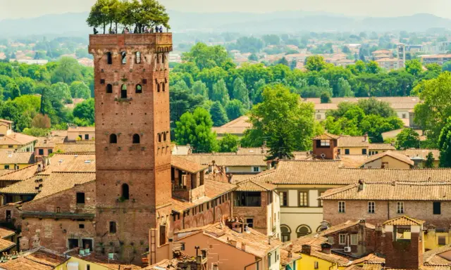 Torre Guinigi con alberi in cima, un'icona di Lucca. Perfetta per scoprire cosa vedere a Lucca in 2 giorni, con vista sui tetti e il verde della città.
