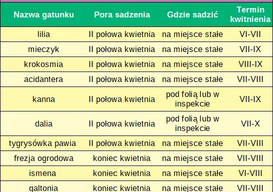 Jakie kwiaty sadzić w kwietniu? Uniknij błędów, ciesz się ogrodem!