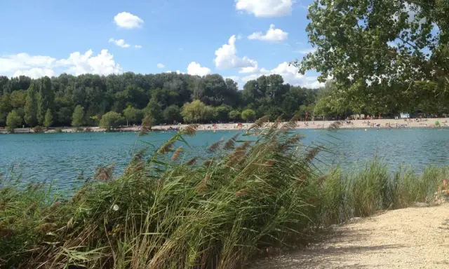 Bord du lac les Vannades, avec des roseaux au premier plan, une plage animée et une forêt dense en arrière-plan sous un ciel bleu et nuageux.