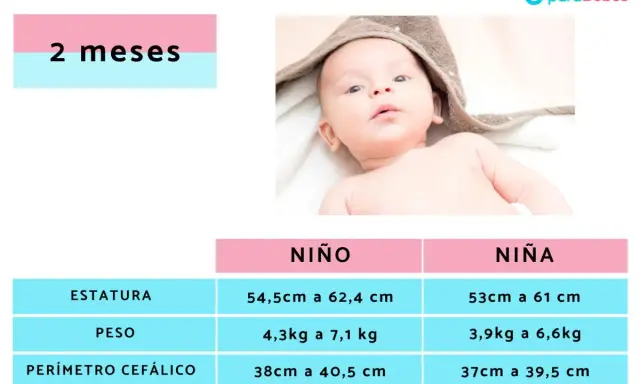 Bebé de 2 meses. Tabla de crecimiento con rangos de estatura, peso y perímetro cefálico para niño y niña. El peso de un bebé de 2 meses varía.
