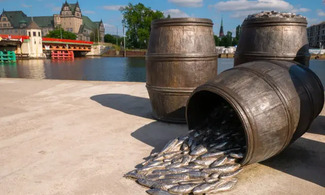 Co ciekawego w Szczecinie? Odkryj Floating Garden i TOP atrakcje