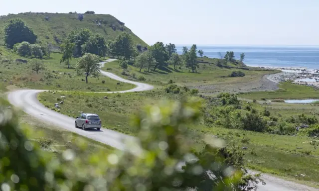 En bil kör på en slingrig väg längs Gotlands kust. Perfekt för att upptäcka nya aktiviteter på Gotland.