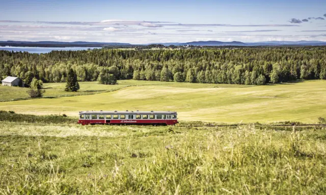Roter Zug fährt durch grüne schwedische Landschaft. #Inlandsbanan.