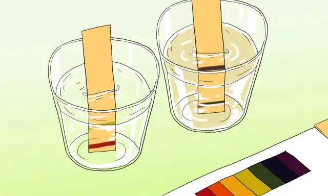 Bandes de papier réagissent dans deux verres d'eau, montrant des couleurs différentes pour tester le ph de l'eau. Une palette de couleurs est visible.