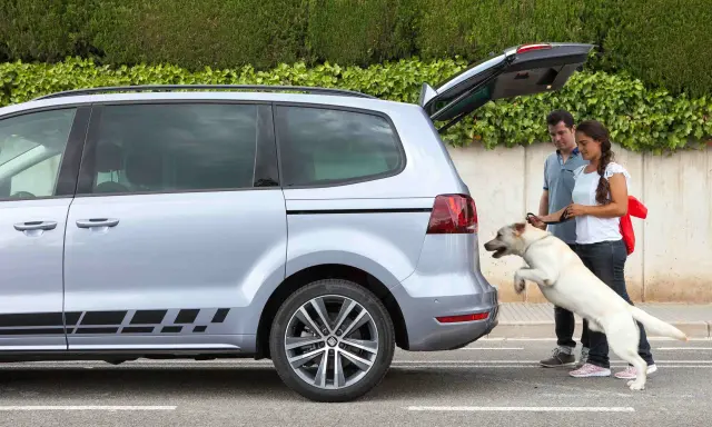 Pareja ayuda a su perro a subir al mejor coche para llevar perros, un monovolumen plateado con el maletero abierto.