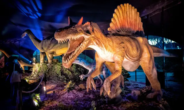 Figuras de dinosaurios realistas, incluyendo un Spinosaurus con su vela dorsal, en una exhibición nocturna en Madrid.