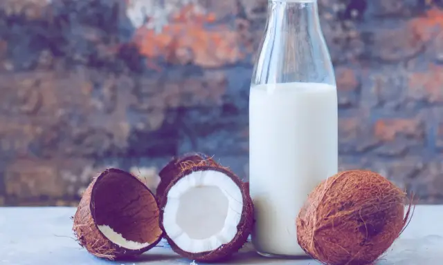 Frische Kokosnüsse und eine Flasche Kokosmilch, bereit zum Kokosmilch einfrieren.