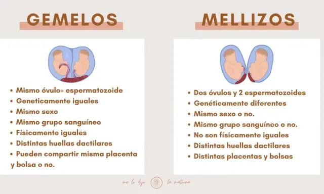Infografía que explica la diferencia entre gemelos y mellizos, mostrando sus orígenes y características.
