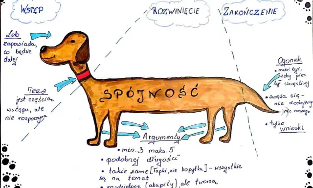 Schemat rozprawki za i przeciw: pies z napisem "Spójność" ma etapy: Wstęp, Rozwinięcie, Zakończenie. Argumenty i ogonek to jego części.