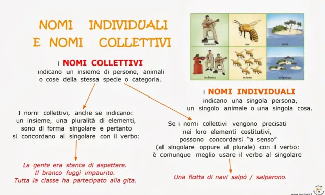 Spiegazione dei nomi collettivi e individuali per la classe terza, con esempi visivi di musicista, ape, isola, orchestra, sciame e arcipelago.
