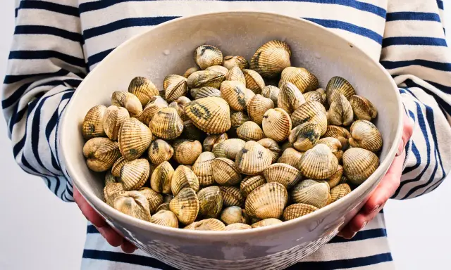 Un bol rempli de coques fraîches, parfaites pour une recette de coques simple et savoureuse.