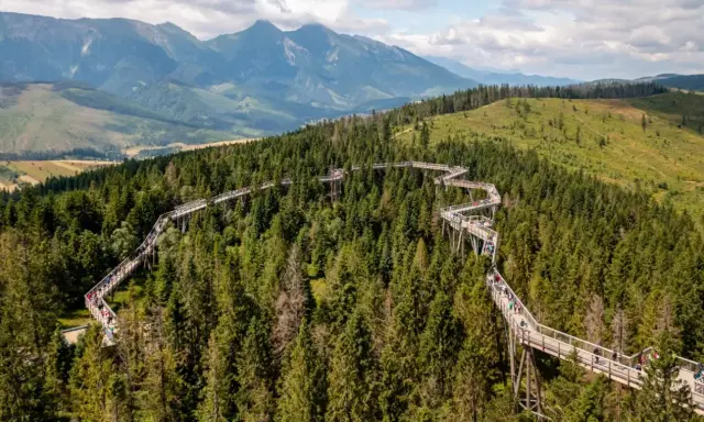Ścieżka w koronach drzew na Słowacji, blisko granicy z Polską, oferuje wspaniałe widoki na Tatry. To jedna z najciekawszych słowackich atrakcji przy granicy z Polską.