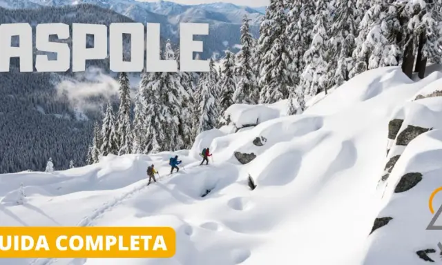 Tre escursionisti affrontano una ciaspolata sulla neve in un paesaggio montano innevato, con alberi coperti di bianco e cime sullo sfondo.