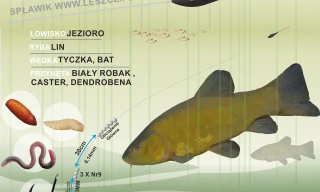 Jaki spławik na lina? Na jezioro, batem, z białym robakiem, casterem lub dendrobeną. Zestaw z haczykiem i obciążeniem.