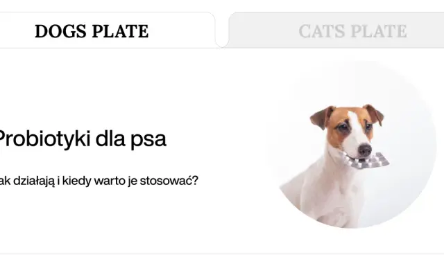 Jack Russell terrier z blistrem tabletek w pysku. Dowiedz się o naturalnych probiotykach dla psa.