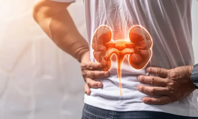 Człowiek trzymający się za bok, gdzie widoczna jest grafika nerek. Może to symbolizować odbite nerki objawy.