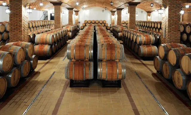 Bodega con hileras de barricas de roble sobre suelos de baldosas, creando un ambiente perfecto para la crianza de vinos.