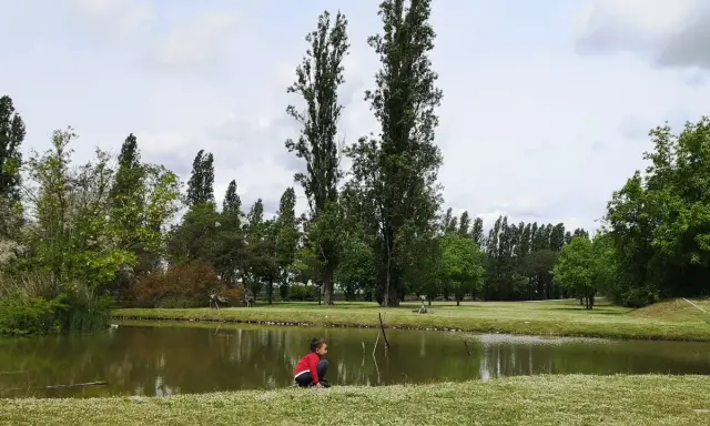 Bambino in gita al Delta del Po, seduto sull'erba vicino a uno stagno, circondato da alberi alti e verdi.