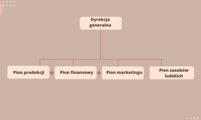 Schemat przedstawia płaską strukturę organizacyjną: Dyrekcja generalna nadzoruje piony: produkcji, finansowy, marketingu i zasobów ludzkich.