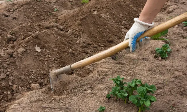 Mano enguantada usa una azada para trabajar la tierra, mostrando varios tipos de azadas para cultivar.