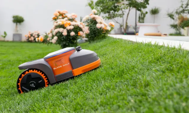 Un robot tondeuse autonome sur une pelouse verte, montrant comment fonctionne un robot tondeuse pour un jardin impeccable.