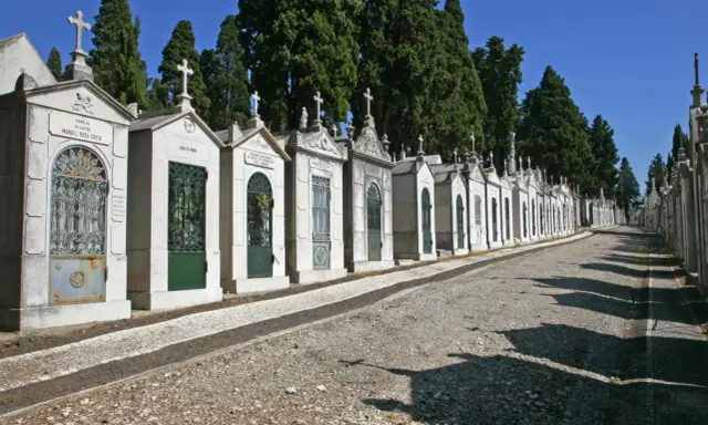 Reihe von Mausoleen auf einem Friedhof in Portugal, mit Zypressen im Hintergrund und einem steinigen Weg.