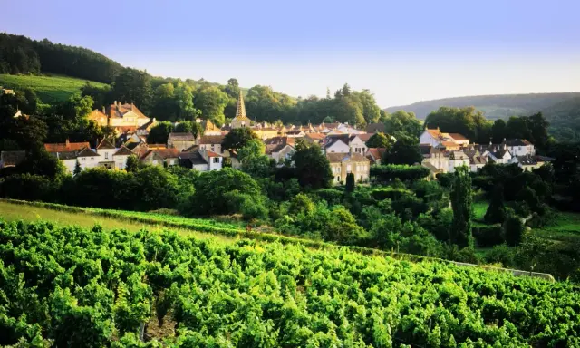 Village pittoresque niché au cœur d'un vignoble verdoyant, sous un ciel bleu clair. La tâche vin est omniprésente.