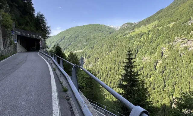 Strada tortuosa che porta al Passo dello Spluga, con un tunnel in primo piano e montagne boscose sullo sfondo.