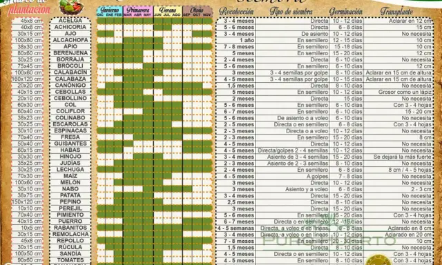 Calendario anual de siembra con información sobre recolección, tipo de siembra, germinación y trasplante para diversos cultivos.