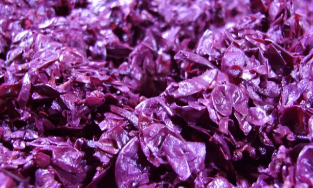 Textura púrpura y brillante del bagazo de uva, restos de la vinificación listos para ser reutilizados.